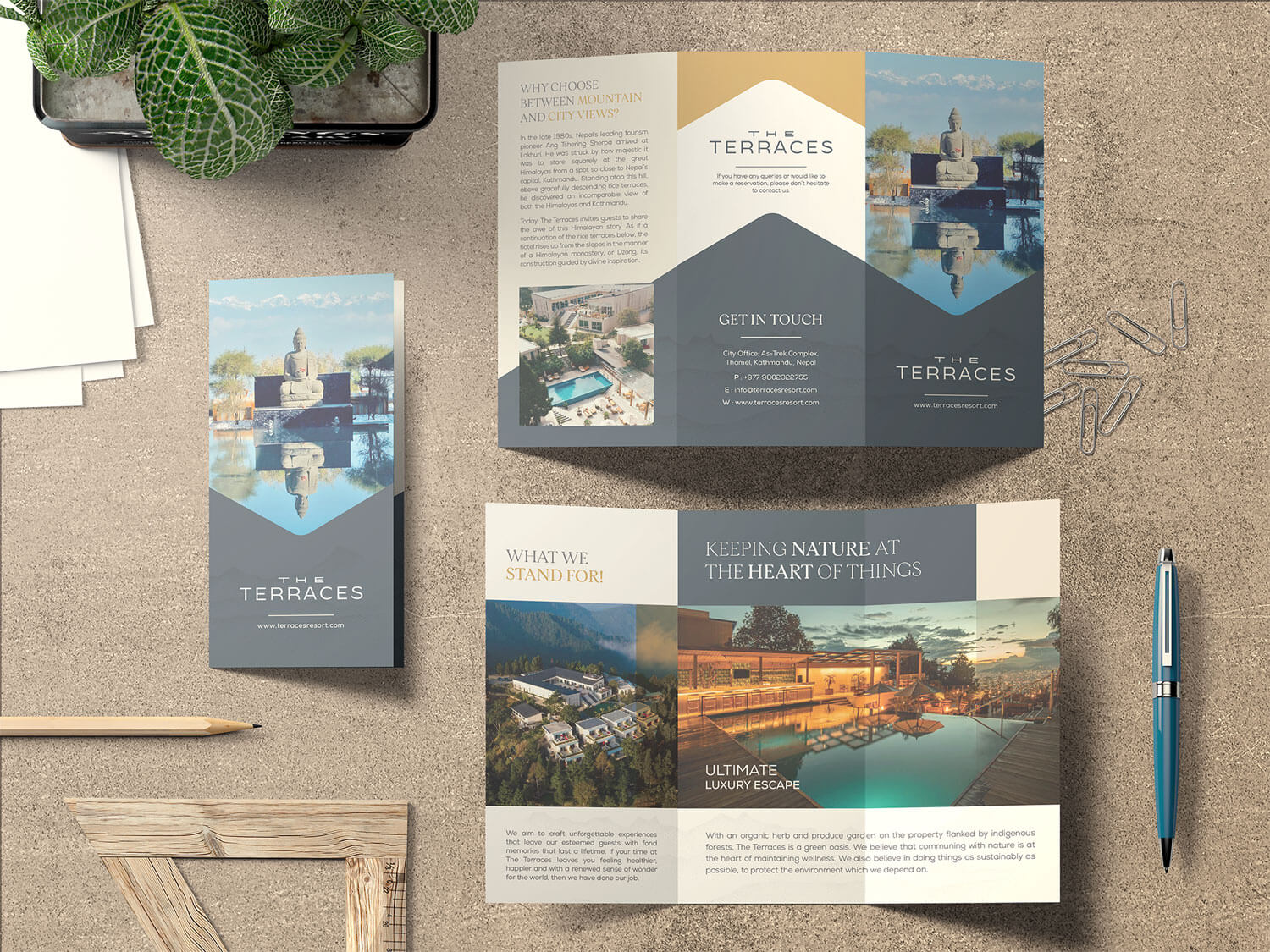 The-Terraces-Tri-Fold-Brochure